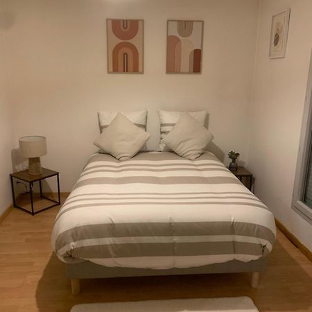 City Rose T2, Climatisation,Parking Prive, Piscine, Wifi , Tout Confort Toulouse Kültér fotó