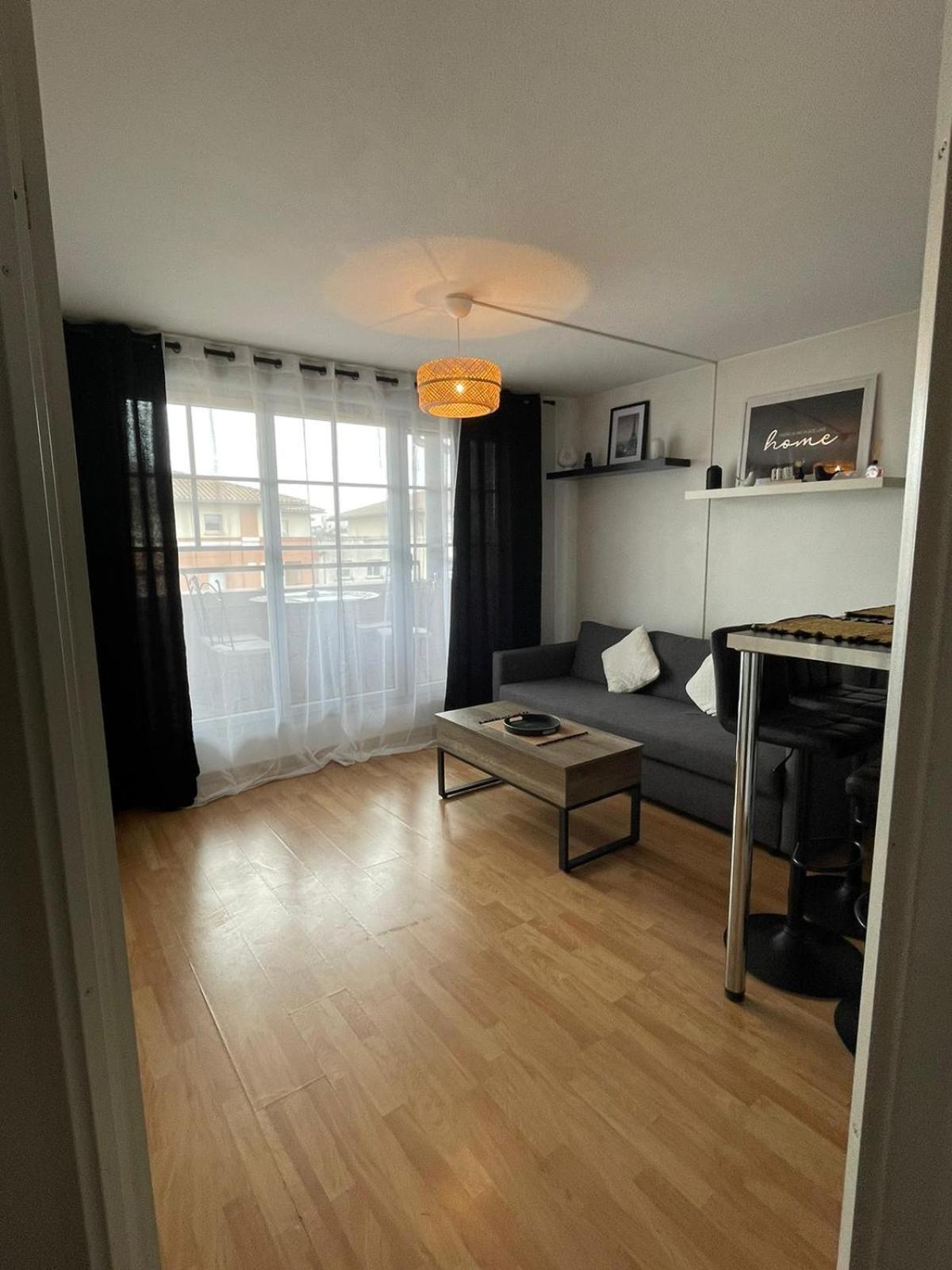 City Rose T2, Climatisation,Parking Prive, Piscine, Wifi , Tout Confort Toulouse Kültér fotó